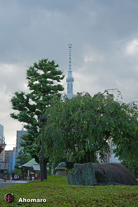 写真00