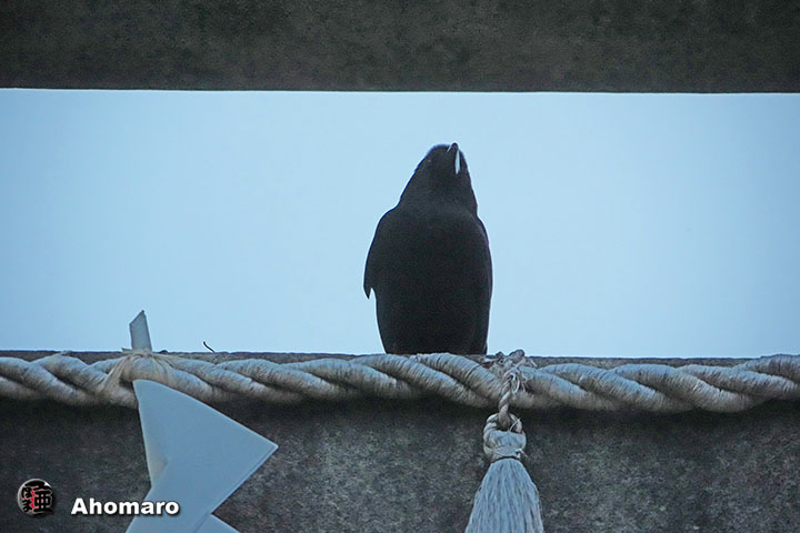 ʐ^00