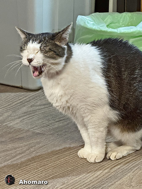 ʐ^00