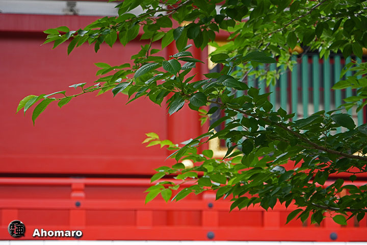 写真00