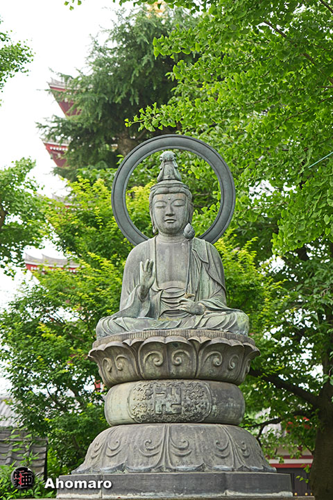写真00