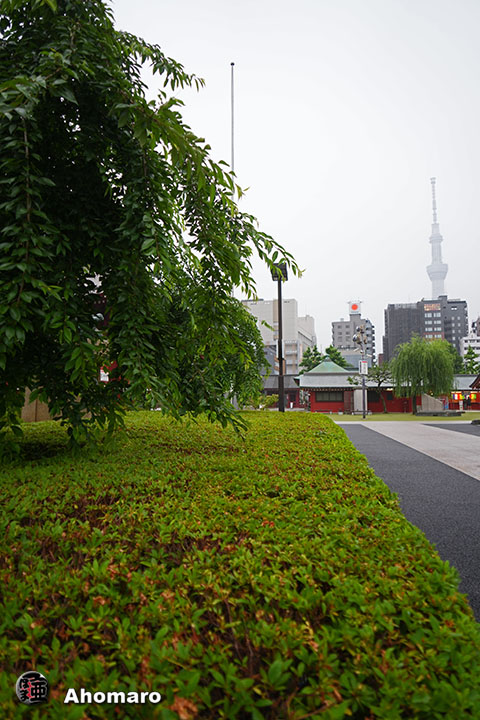 写真00