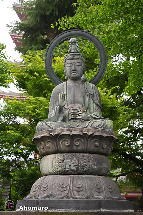 写真00