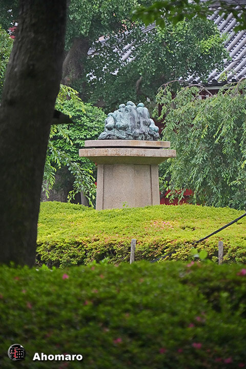 写真00