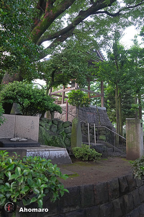 写真00