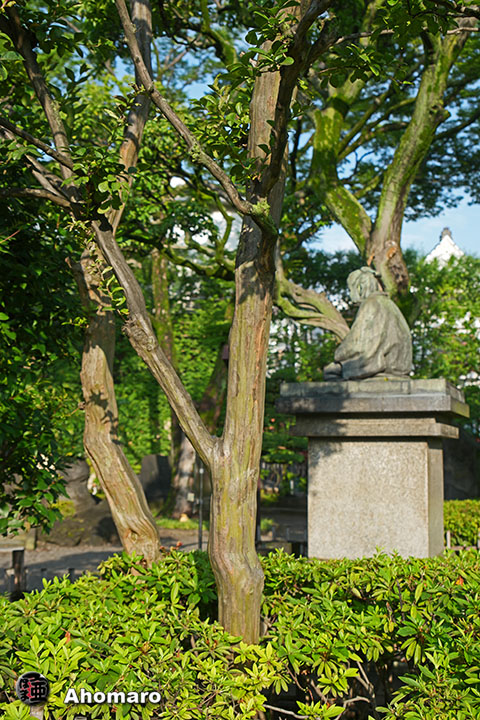 写真00