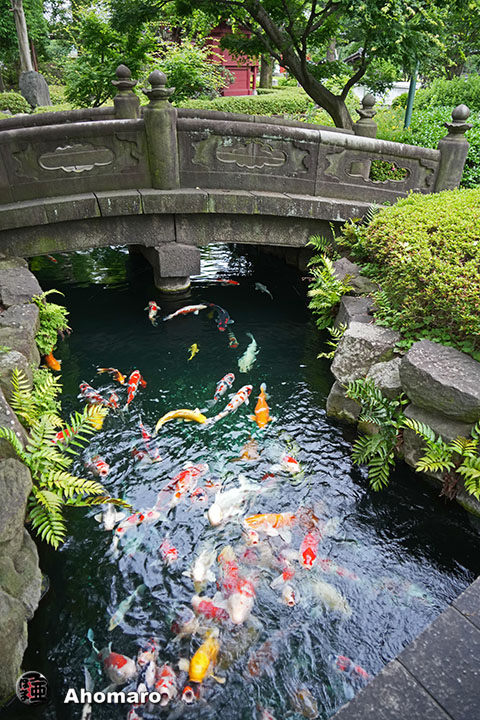 写真00