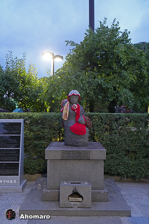 写真00
