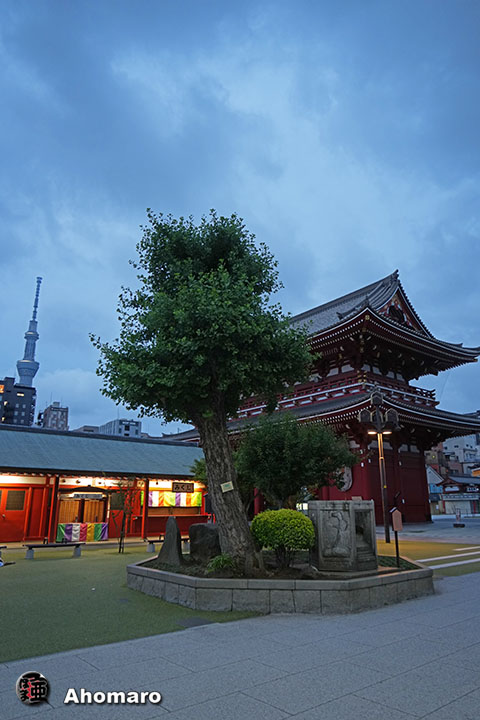 写真00