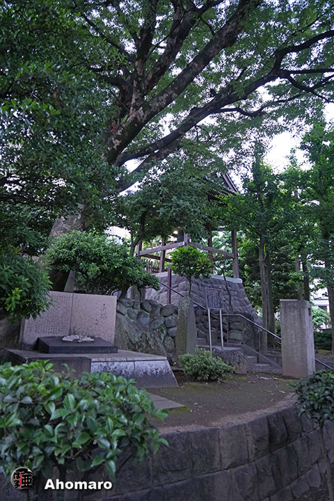 写真00