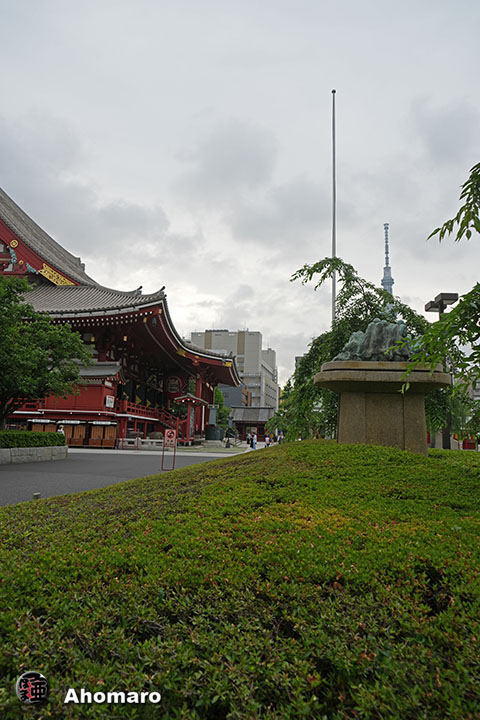 写真00