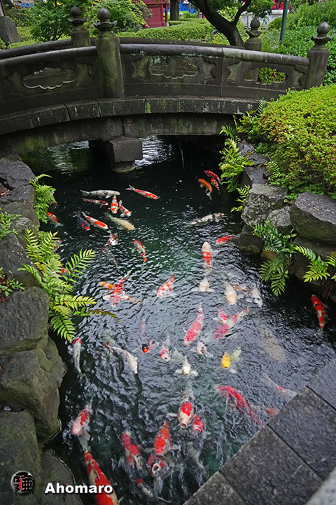 写真00