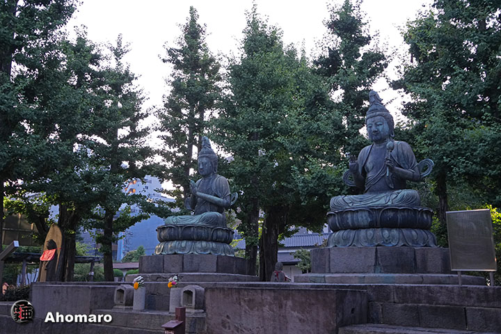 写真00