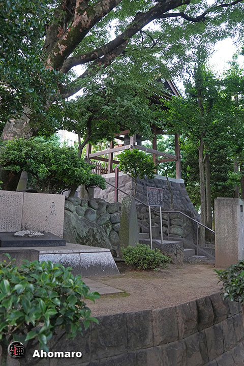 写真00