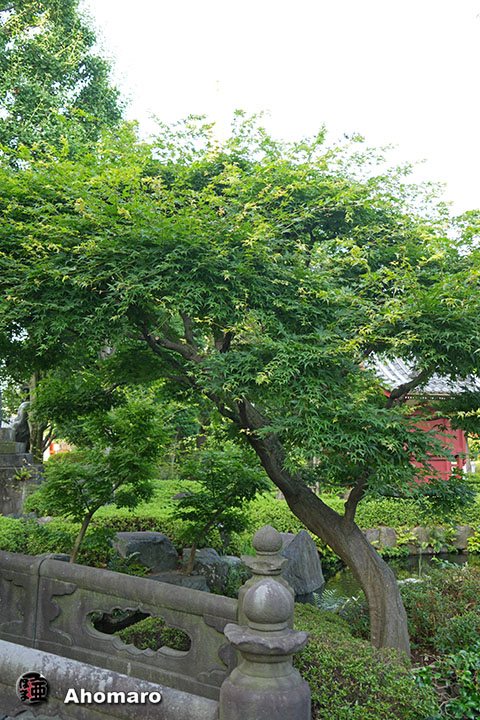 写真00