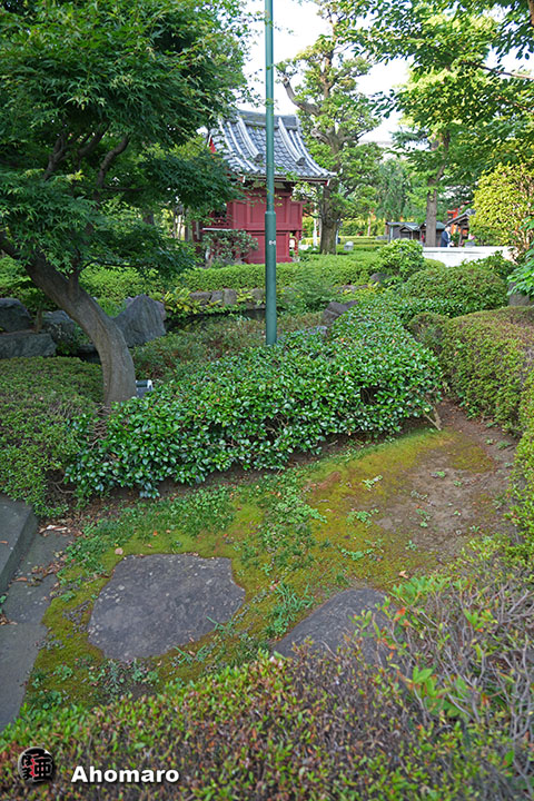 写真00