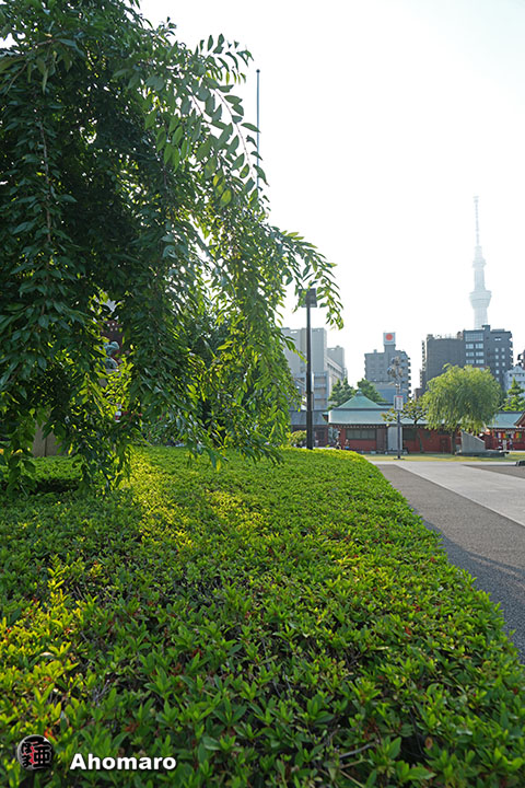写真00