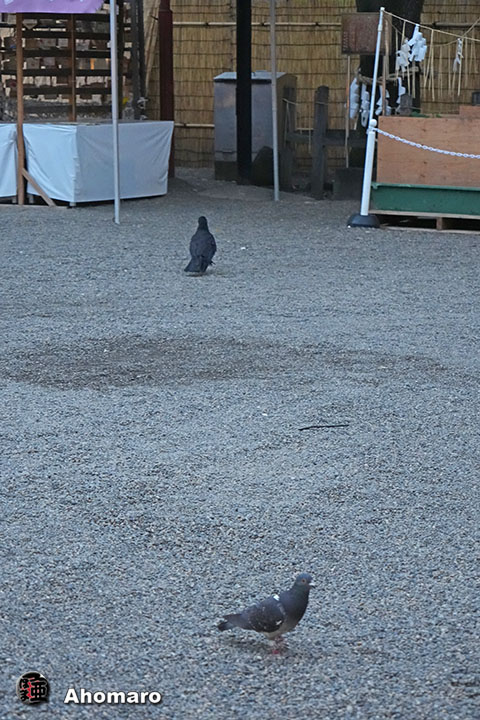 ʐ^00