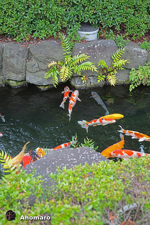 写真00