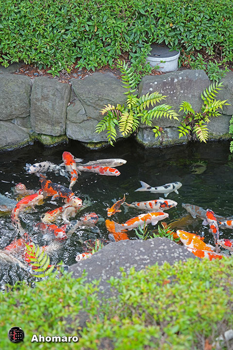 写真00