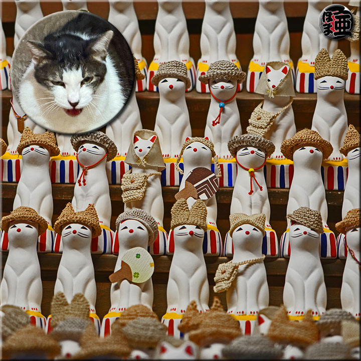 Lʐ^