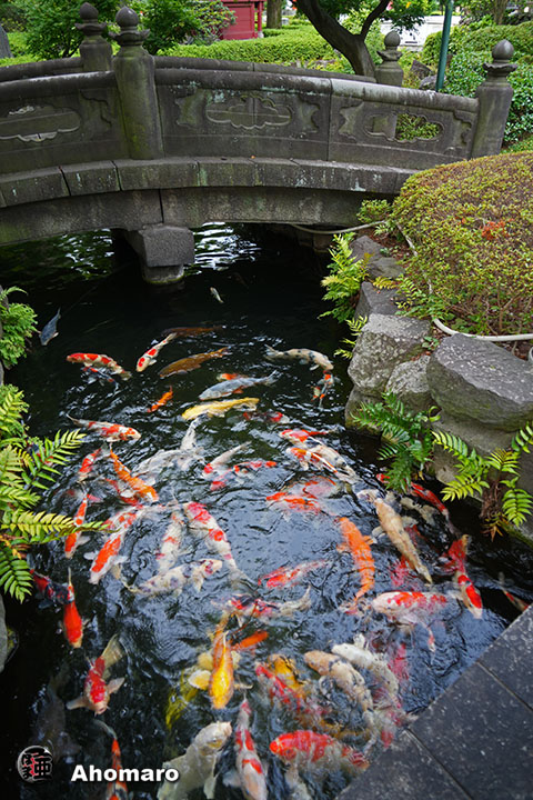 写真00
