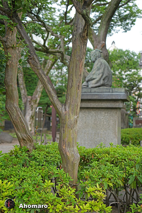 写真00