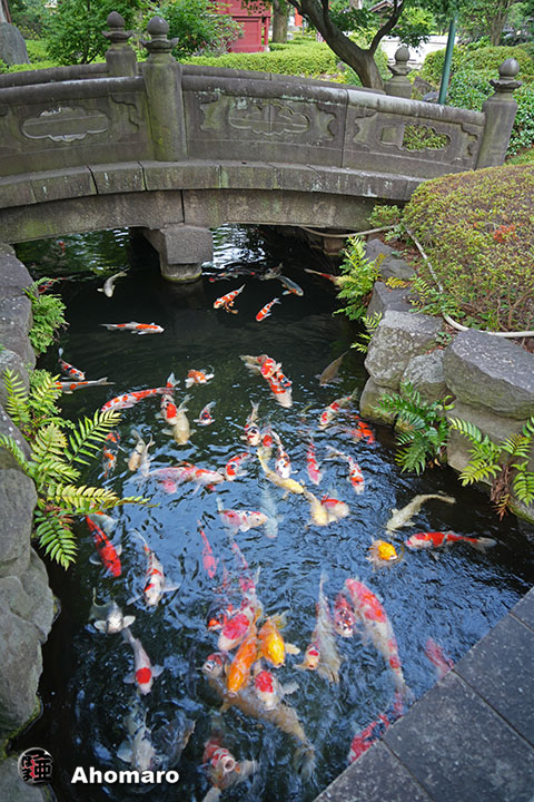 写真00