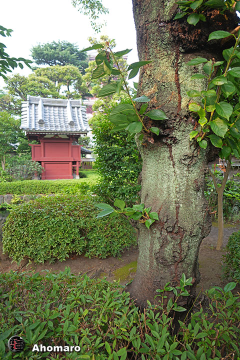 写真00