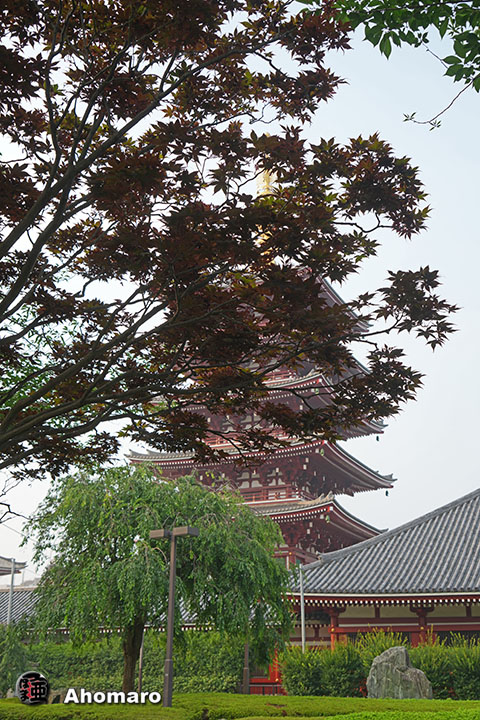 写真00