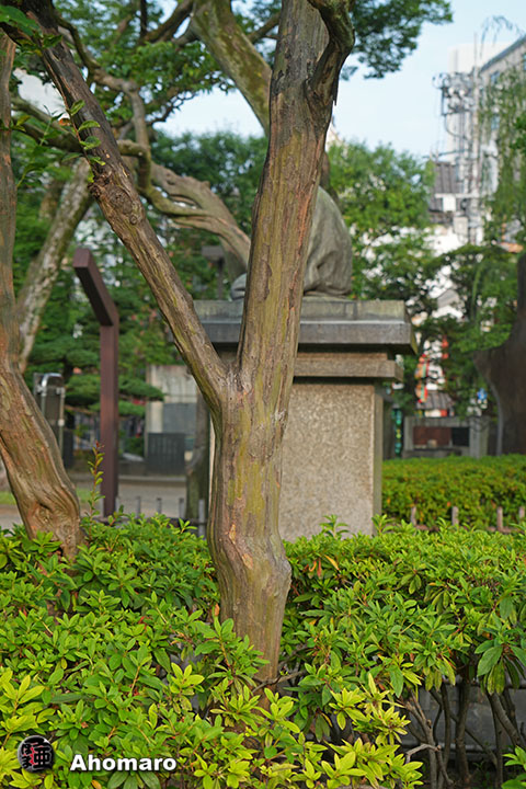 写真00
