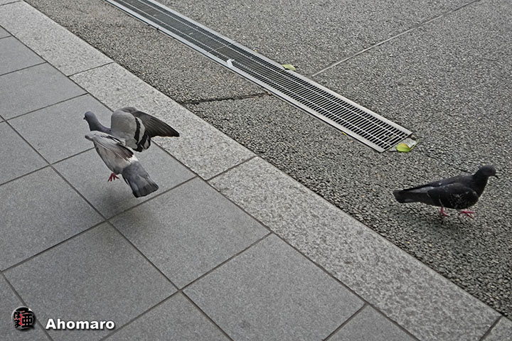 ʐ^00