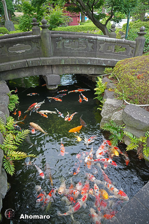 写真00