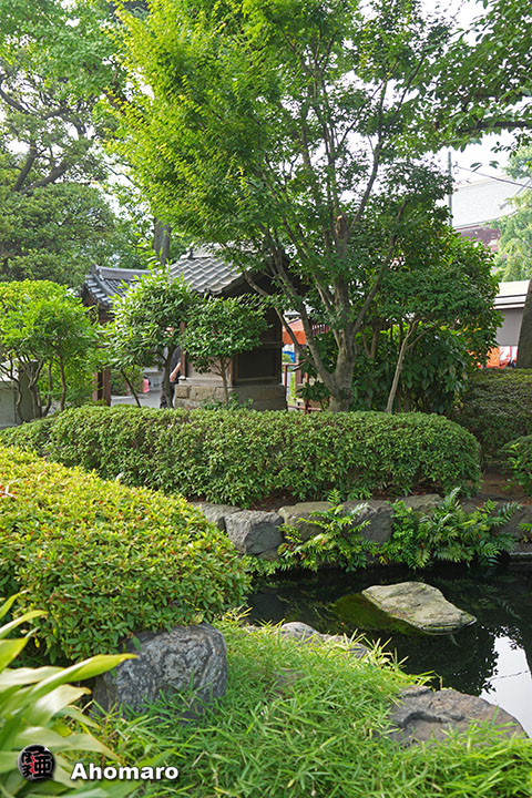 写真00