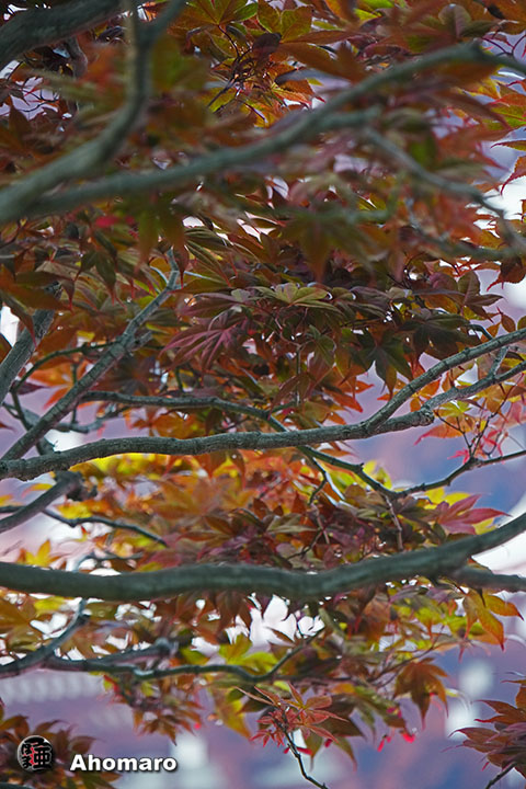 写真00