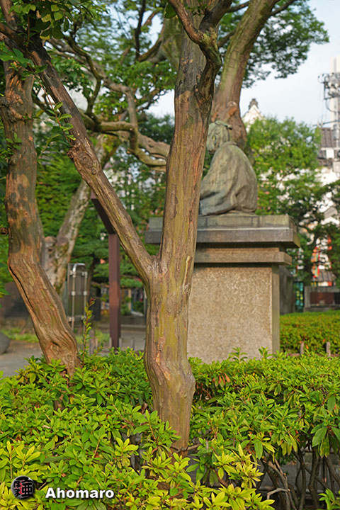 写真00