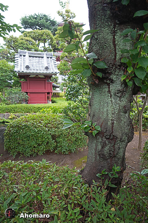 写真00