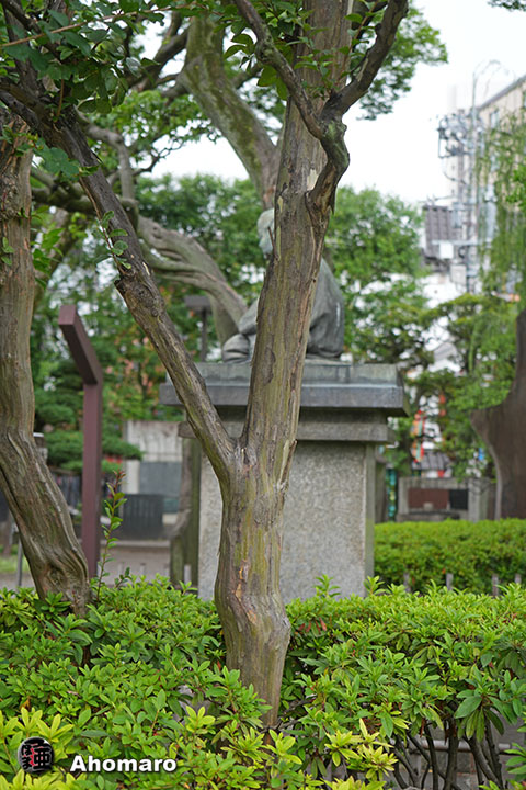 写真00