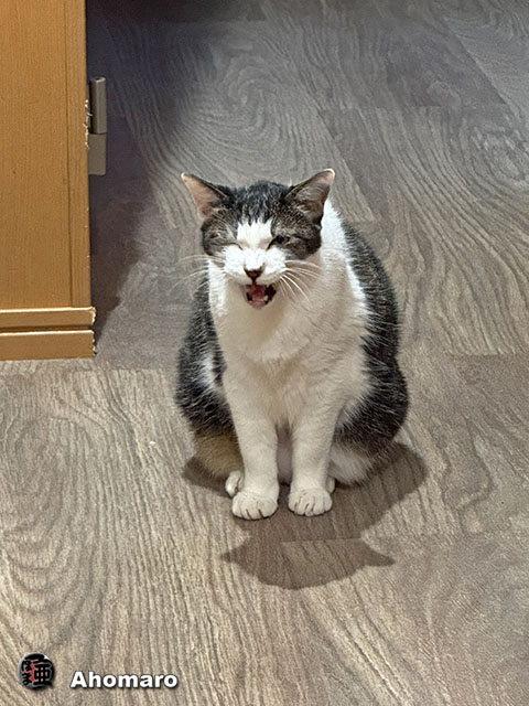 ʐ^00