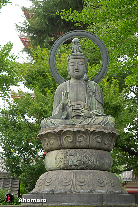 写真00