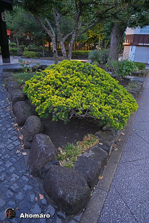 写真00
