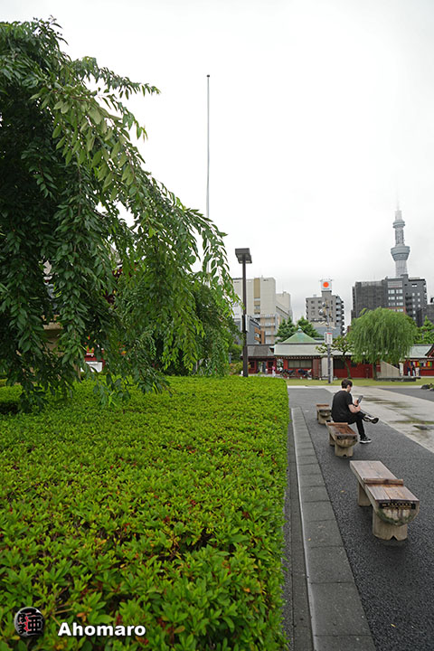 写真00