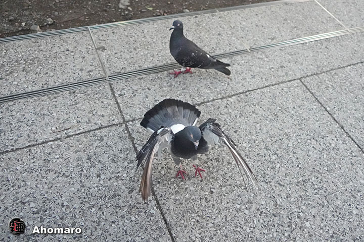 ʐ^00