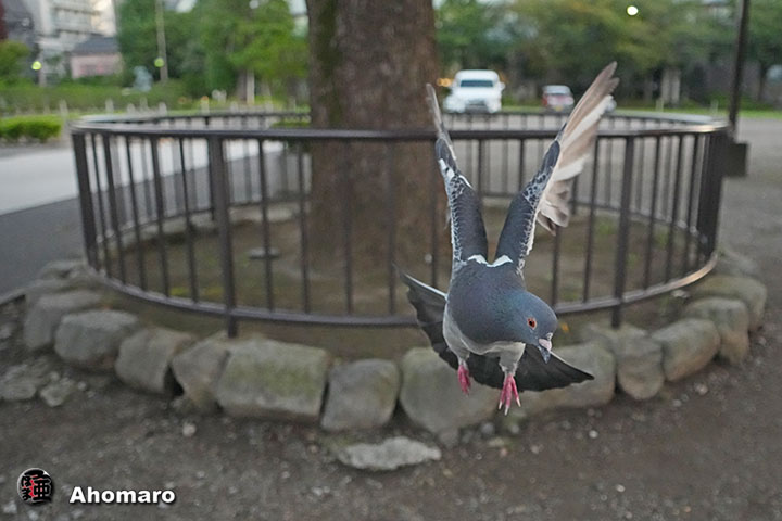 ʐ^00