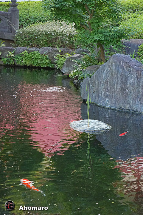 写真00