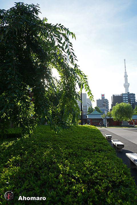 写真00