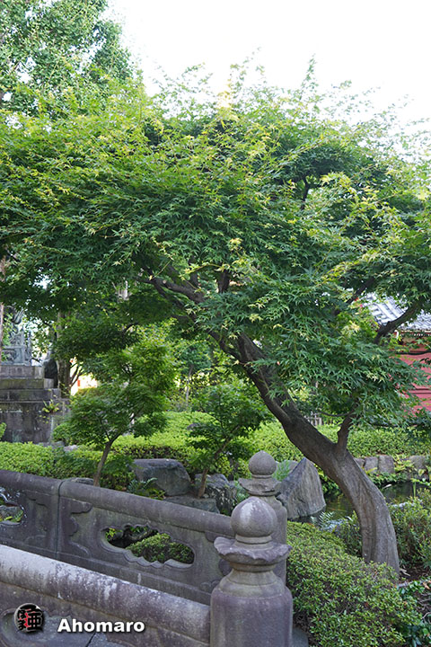 写真00