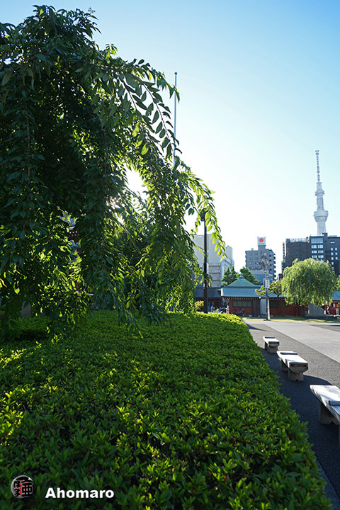 写真00