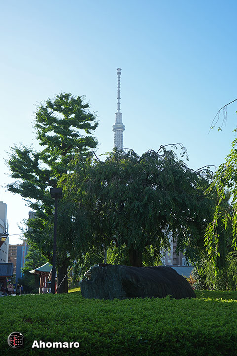 写真00