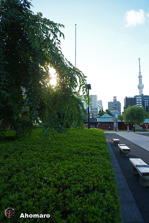 写真00